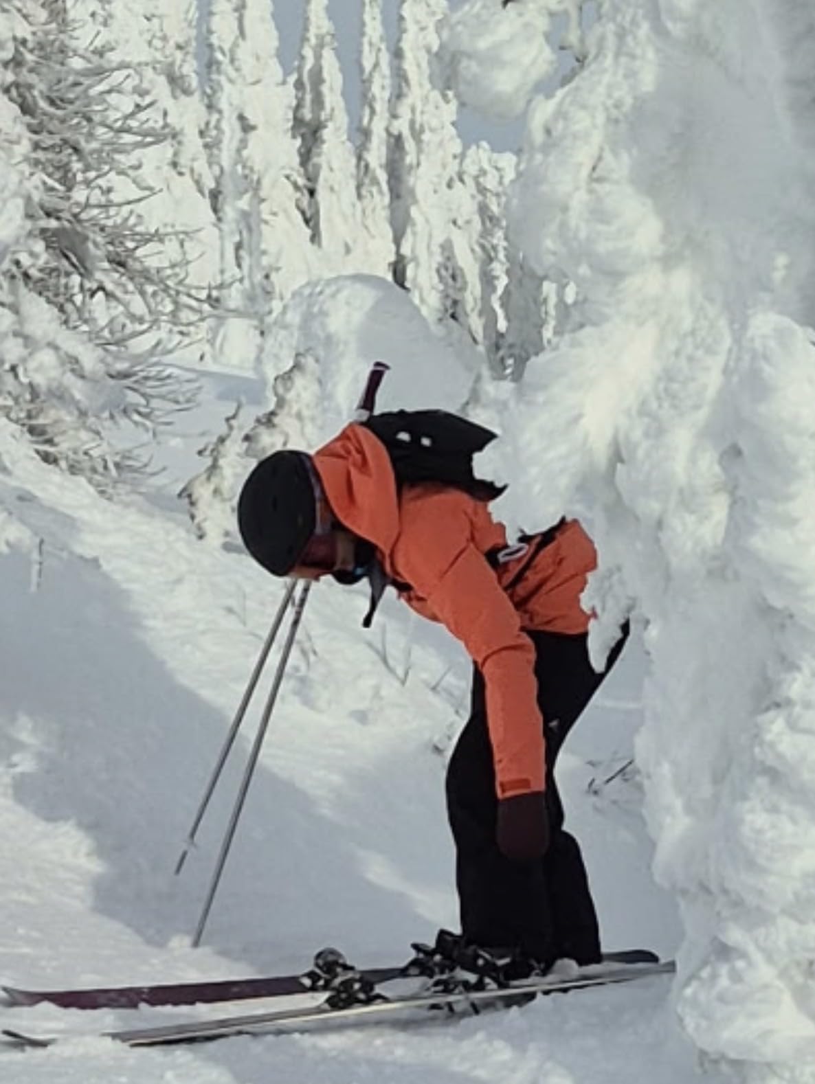 Il compagno ideale per il freeride