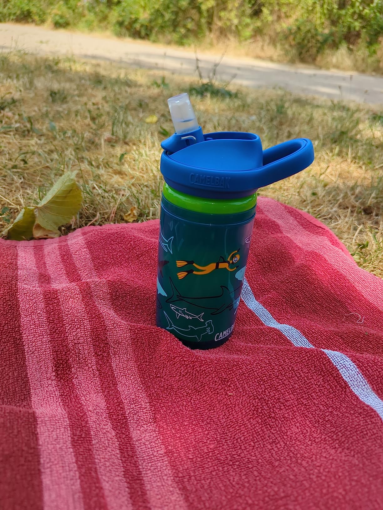 La maestra me l'ha chiesta pure